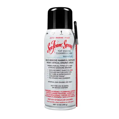 best lubricant for gay Sea Foam Spray Top Engine Cleaner and Lube - 12 oz SF SS14 | Buy Online