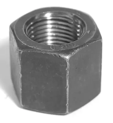 Deep nuts 1/2 main image 3