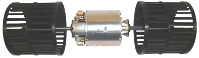 Blower Motor