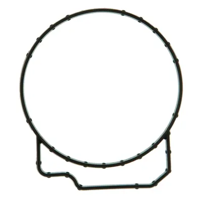Throttle Body Injection Tbi Mounting Gasket