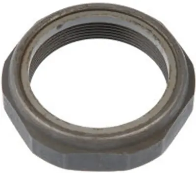 Plastic Insert Spindle Nut 2 In.-16 Hex Size 2-9/16 In. NOE