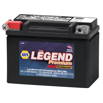 NAPA The Legend Premium AGM Battery BCI No. NA 120 CCA 12 V PSB