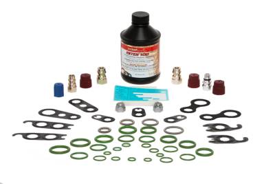 A/C R134a Refrigerant Retrofit Kit TEM 408889 | Buy Online