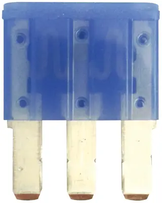 Fuse - Automotive Micro3 15 Amp BK 7825554 | Buy Online - NAPA