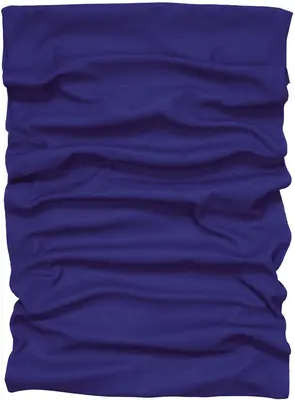 Ergodyne Safety Mask