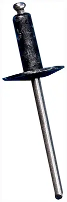 Rivets Bumper Fascia Rivets All Steel BK 7702767 | Buy Online