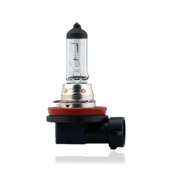 2006 Dodge Charger Light Bulbs | NAPA Auto Parts