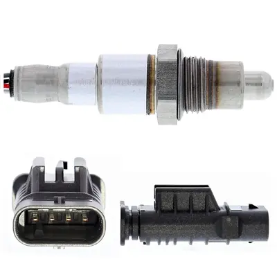 Oxygen Sensor