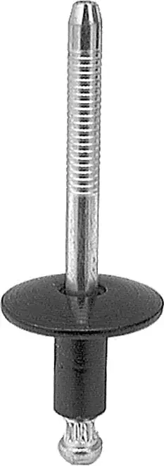 Rivets Blind Rivet Steel Rivet (Black) BK 6653240 | Buy Online