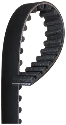 Automotive Timing Belt - 1