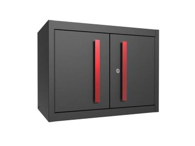 Napa discount Auto Storage Cabinet