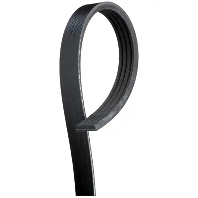Automotive V-Ribbed Belt (Standard) K04 9/16