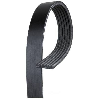 Automotive V-Ribbed Belt (Standard) K06 13/16