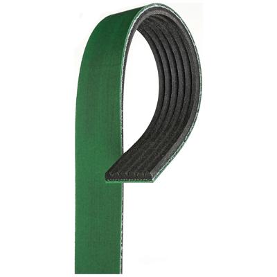 Automotive V-Ribbed Belt (Heavy Duty) K06 13/16