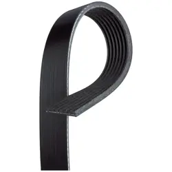Automotive V-Ribbed Belt (Stretch Fit) K06 13/16
