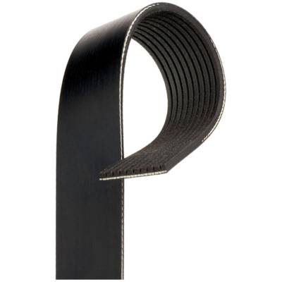 Automotive V-Ribbed Belt (Standard) K10 1 3/8