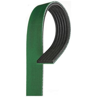 Automotive V-Ribbed Belt (Standard) K06 13/16