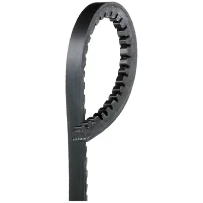 トップス yvngbratz High Capacity V-Belt (Standard) HC50 15/32