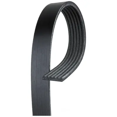 y♥️ Automotive V-Ribbed Belt (Standard) K06 13/16