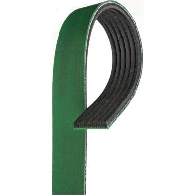 Automotive V-Ribbed Belt (Stretch Fit) K06 13/16