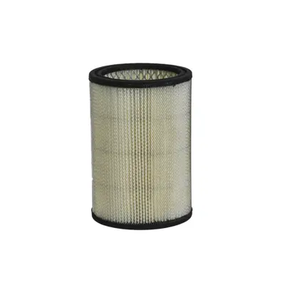 NAPA Gold Engine Air Filter FIL 2220 | Buy Online - NAPA Auto Parts