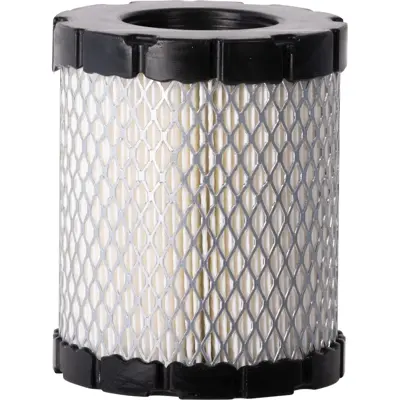 NAPA Gold Engine Air Filter FIL 500391 | Buy Online - NAPA Auto Parts