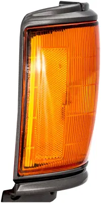 Dorman Light