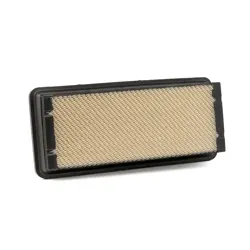 ファイテンエアー用交換フィルター BE646000 (4枚組) Air Cleaner Filters & Elements - H/D Truck TWD RS4634 | Buy Online