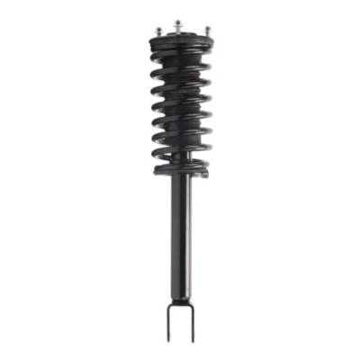 N★  Amazon.com: Monroe Quick-Strut 172679 Suspension Strut and