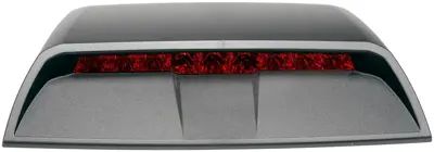 Dorman Light Led