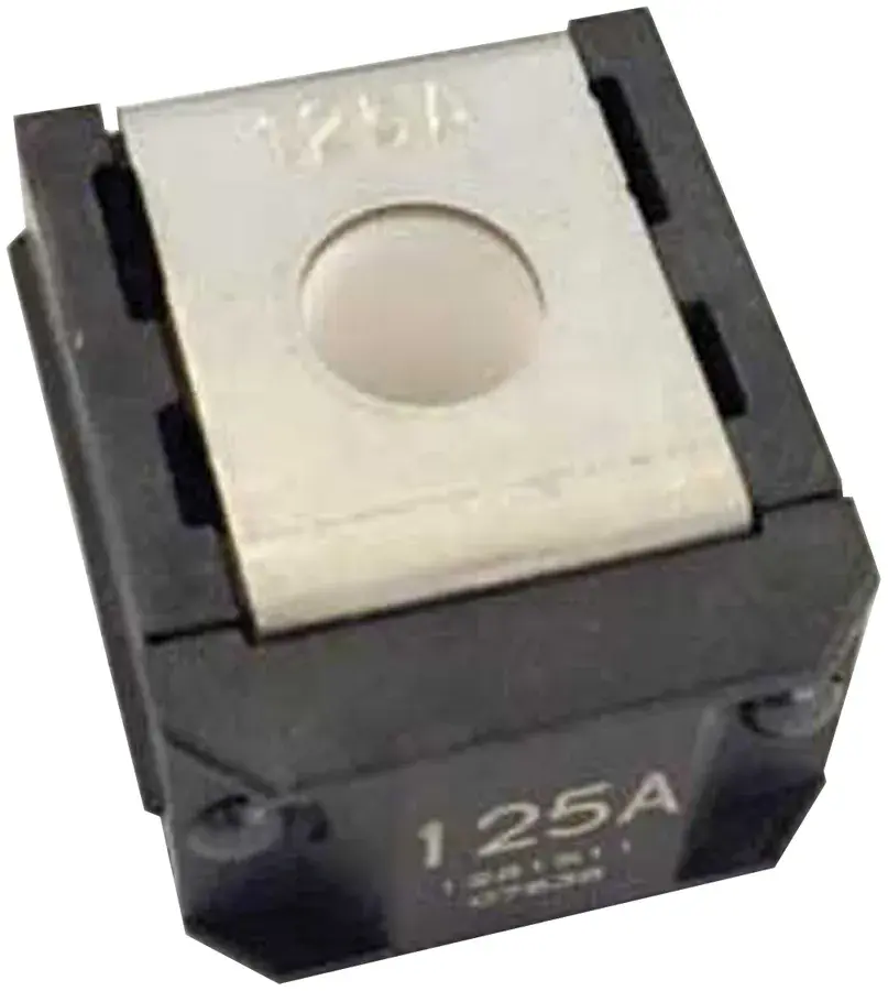Fuse - Automotive Z Case Fuse 125 Amp BK ZCAS125XP | Buy Online