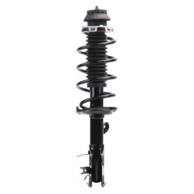NAPA QuickStrut Strut NS 173125 | Buy Online - NAPA Auto Parts