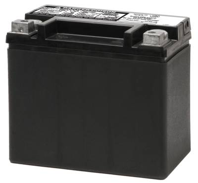 NAPA Class I Battery 12 Months Free Replacement BCI No. 400