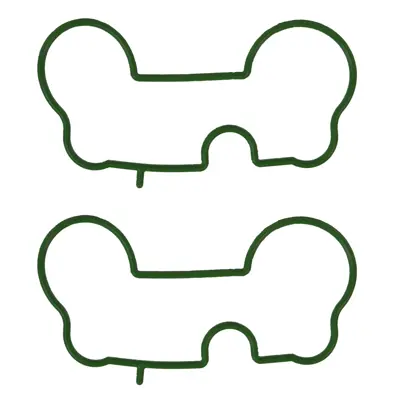 Manifold Gasket Set Intake
