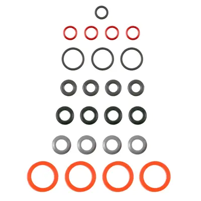 Fuel Injector ORing Kit