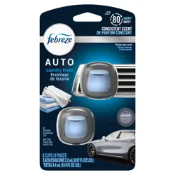 Floatdream 30 Stuks Auto Air Vent Clips, Vierkante Hoofd Clip Voor Luchtverfrisser Installatie En Autodecoratie (Zwart