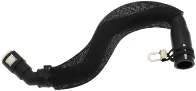 Napat Wattanaページ 2022 Zinfandel | Frog's Leap Winery