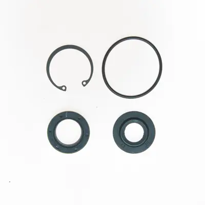 Y様 Power Steering Gear Box Input Shaft Seal Kit NPS 7367 | Buy Online