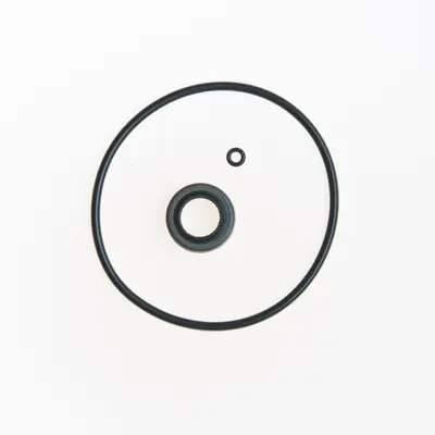 Power Steering Gear Box Input Shaft Seal Kit NPS 73635 | Buy