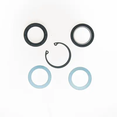 Power Steering Gear Pitman Shaft Lower Seal Kit NPS 7360 | Buy
