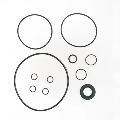 Power Steering Pump Seal Kit NPS 7262 | Buy Online - NAPA Auto Parts