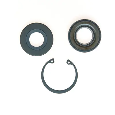Power Steering Gear Box Input Shaft Seal Kit NPS 7218 | Buy Online