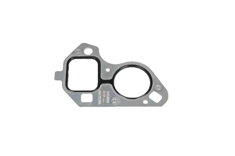 ACDelco Water Pump Gasket AC 251663 | Buy Online - NAPA Auto Parts